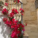 Artas La Tua Casa Indipendente A