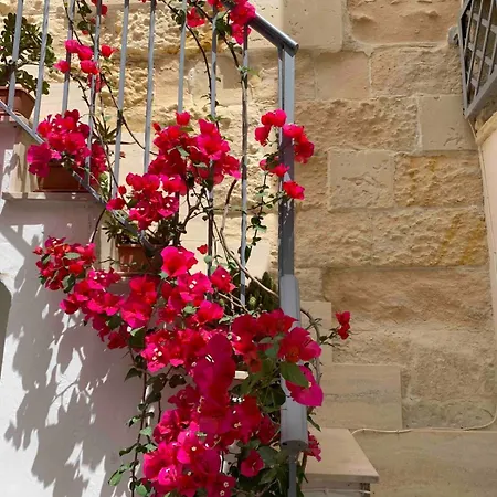 Artas La Tua Casa Indipendente A