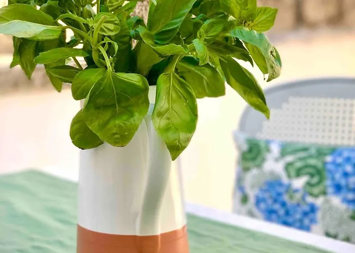 Artas La Tua Casa Indipendente A Отель типа 