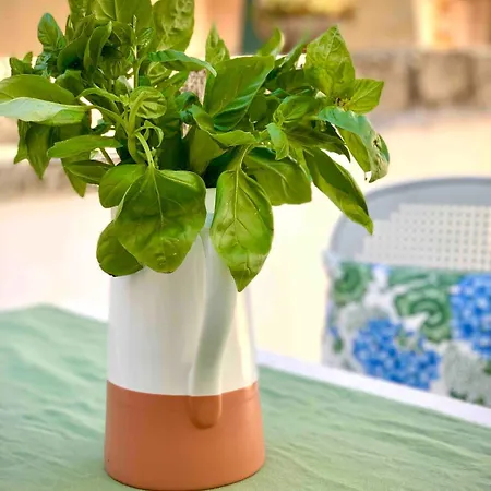 Artas La Tua Casa Indipendente A Oda ve Kahvaltı 4*