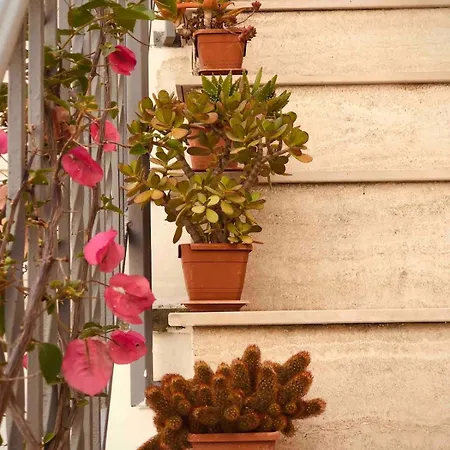 Artas La Tua Casa Indipendente A Oda ve Kahvaltı Lecce